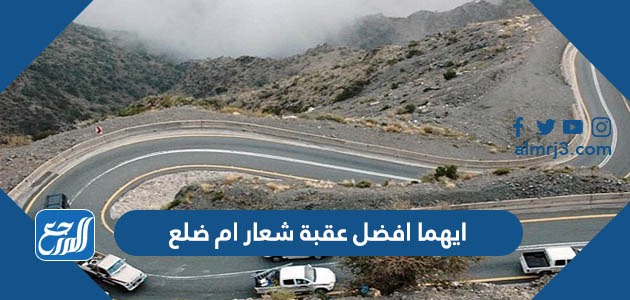 ايهما افضل عقبة شعار ام ضلع