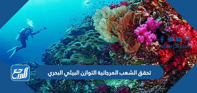 تحقق الشعب المرجانية التوازن البيئي البحري