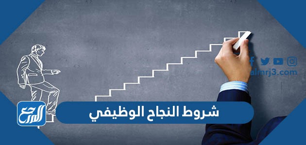 شروط النجاح الوظيفي