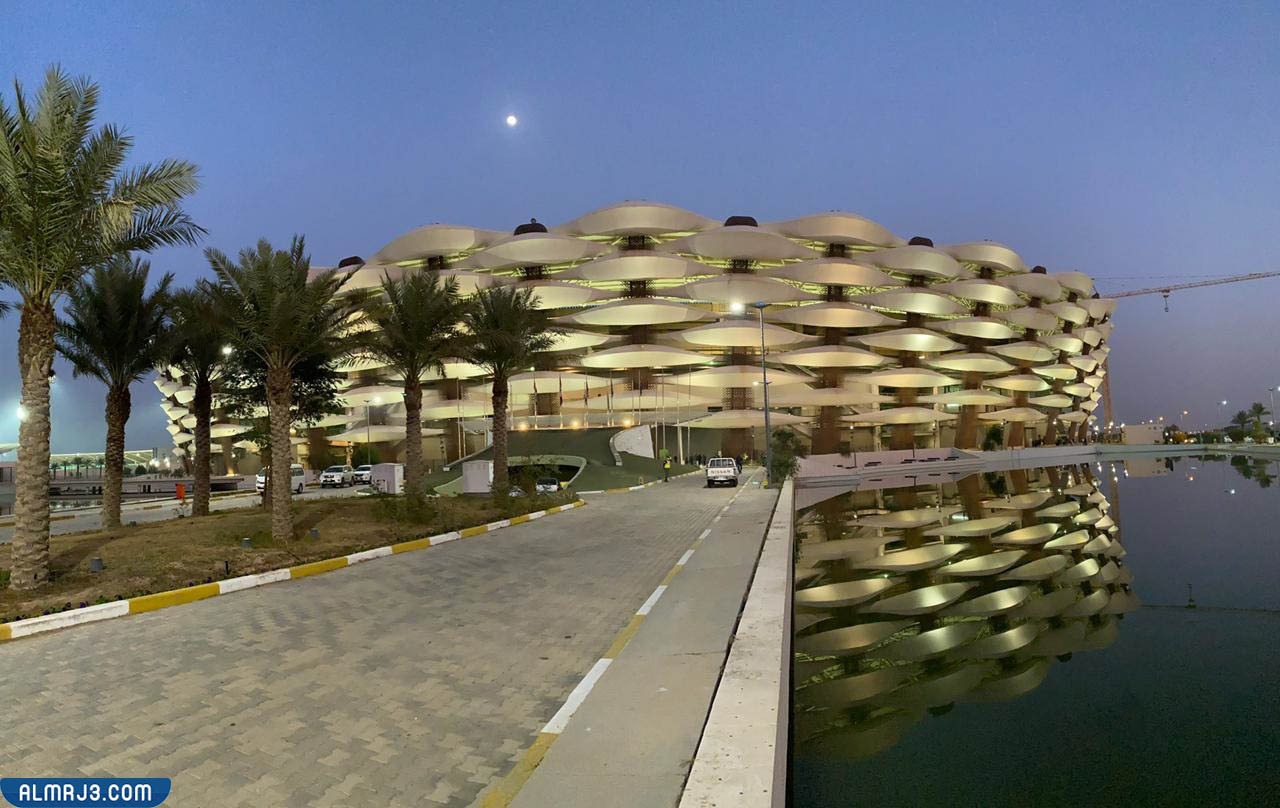 لماذا سمي ملعب البصرة الدولي جذع النخل