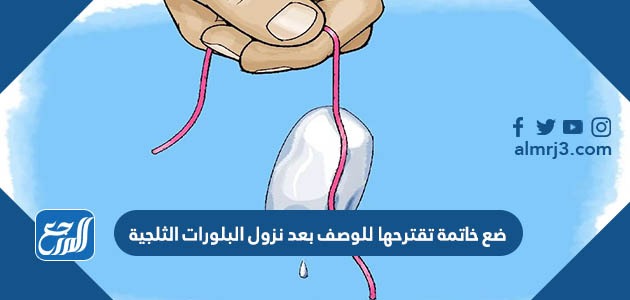 ضع خاتمة تقترحها للوصف بعد نزول البلورات الثلجية