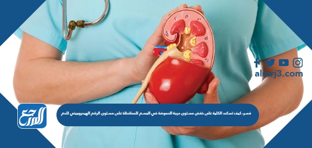 فسر، كيف تساعد الكلية على خفض مستوى درجة الحموضة في الجسم للمحافظة على مستوى الرقم الهيدروجيني للدم