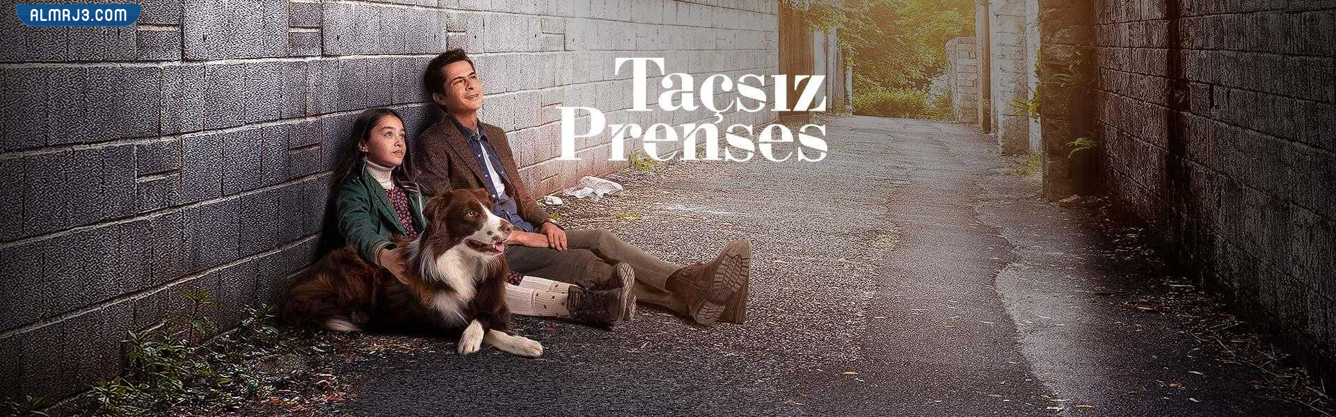 قصة مسلسل اميره بلا تاج