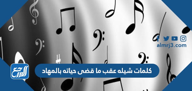 كلمات شيله عقب ما قضى حياته بالمهاد