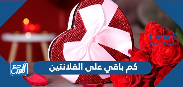 كم باقي على الفلانتين