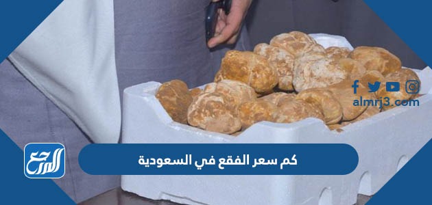 كم سعر الفقع في السعودية