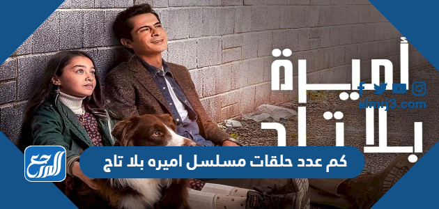 كم عدد حلقات مسلسل اميره بلا تاج