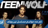 كم عدد مواسم مسلسل تين وولف