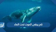 كم يبقى الحوت تحت الماء