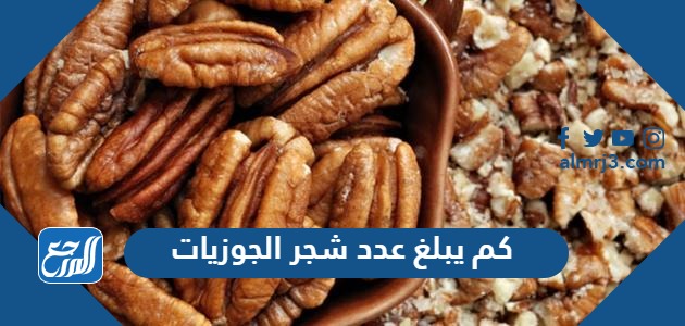 كم يبلغ عدد شجر الجوزيات