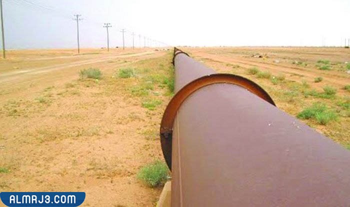 كم عمر خط التابلاين؟