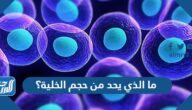 ما الذي يحد من حجم الخلية؟