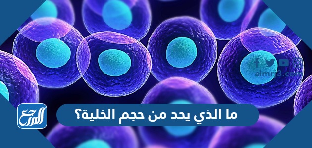 ما الذي يحد من حجم الخلية؟