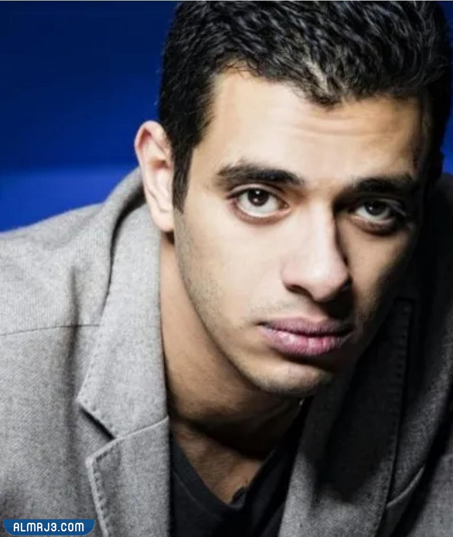 من هو محمد ابراهيم يسري السيرة الذاتية