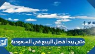 متى يبدأ فصل الربيع 2025 في السعودية