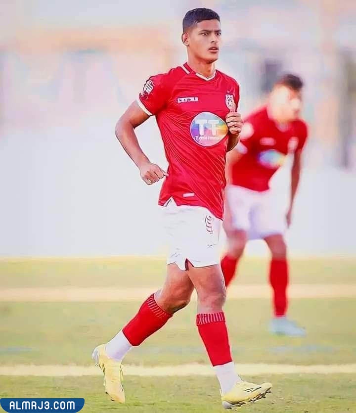 محمد الضاوي السيرة الذاتية