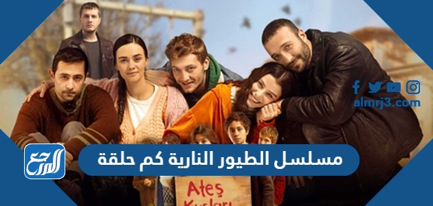 مسلسل الطيور النارية كم حلقة