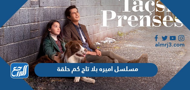 مسلسل اميره بلا تاج كم حلقة