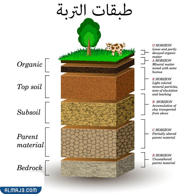 مطوية عن التربة ثالث ابتدائي جاهزة للطباعة