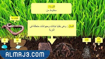 مطوية عن التربة ثالث ابتدائي جاهزة للطباعة