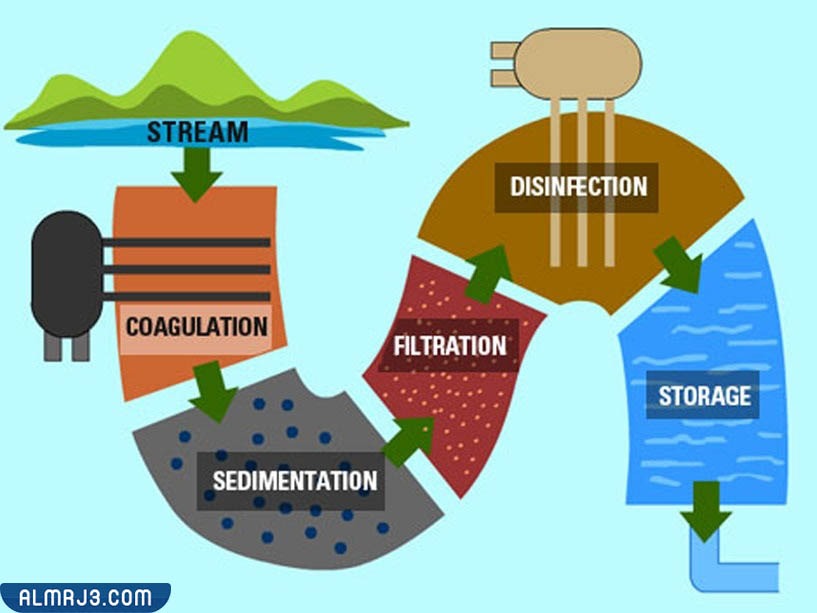 مطوية عن دورة الماء جاهزة للطباعة