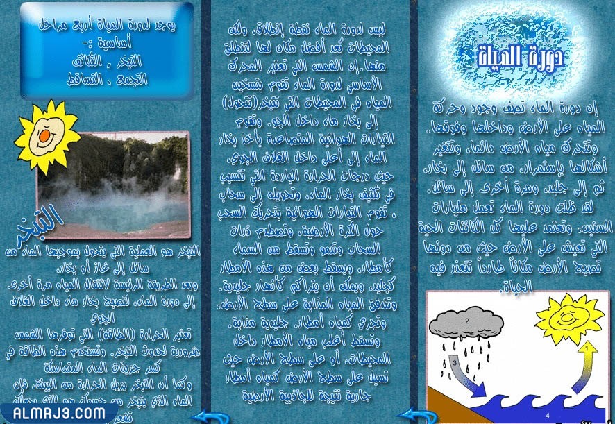 مطوية عن دورة الماء جاهزة للطباعة