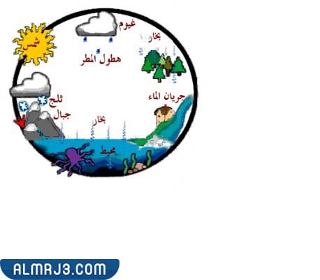 دورة الماء جاهزة