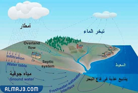 مطوية عن دورة المياه