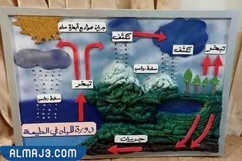 مطوية عن دورة المياه