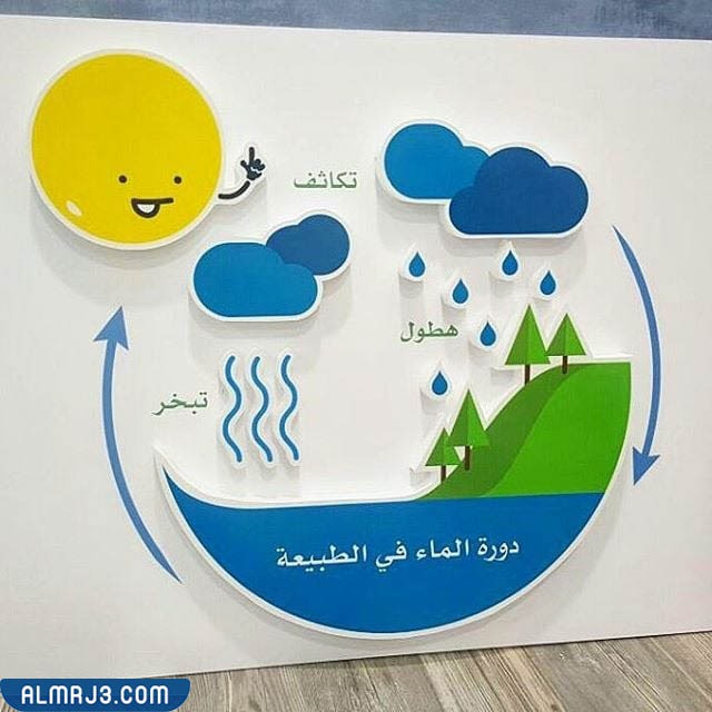 مطوية عن دورة المياه