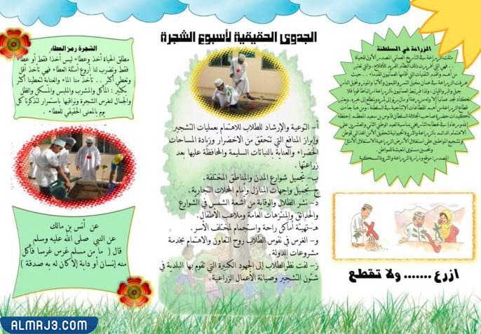 مطويه عن محاصيل بلادي