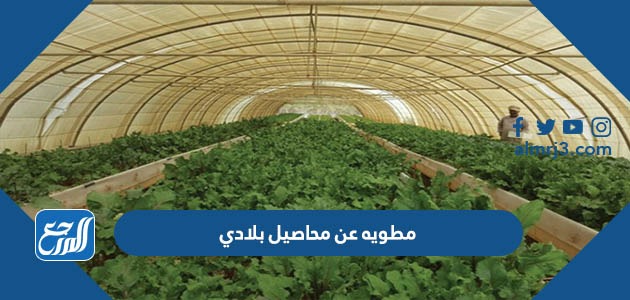 مطويه عن محاصيل بلادي