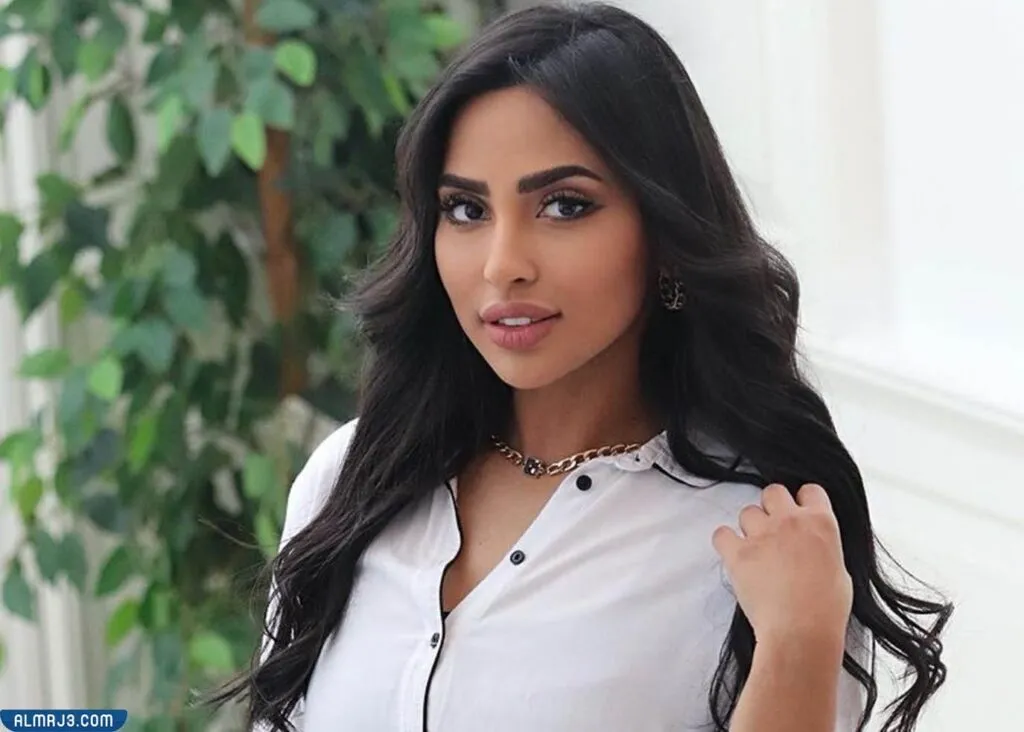 معلومات عن مشاري المجيبل وزوجته واولاده