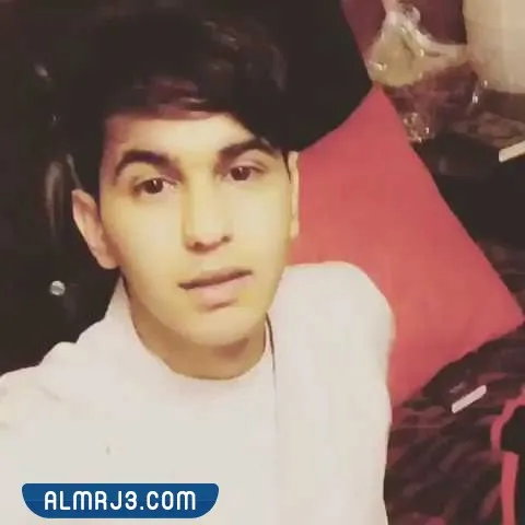 من هو مهدي السنر ويكيبيديا