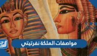 ما هي مواصفات الملكة نفرتيتي وكيف ماتت ما هي مواصفات الملكة نفرتيتي وكيف ماتت