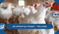 يبلغ وزن دجاجة ٦ ١٠ كيلوجرامات. وزن الدجاجة أقرب إلى