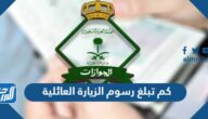 كم تبلغ رسوم الزيارة العائلية في السعودية 2025