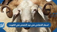اسعار الاضاحي في عيد الاضحى في الكويت 2025 واماكن بيعها