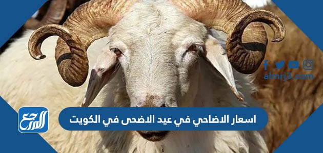 اسعار الاضاحي في عيد الاضحى في الكويت 2022