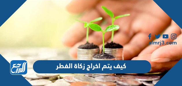 كيف يتم اخراج زكاة الفطر 2024 وكم قيمتها ومتى وقت اخراجها