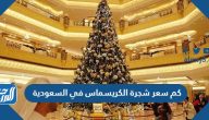 كم سعر شجرة الكريسماس في السعودية 1446