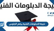 الاستعلام عن نتيجة الدبلومات الفنية 2026 برقم الجلوس