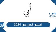 امنيتي لابي في 2025