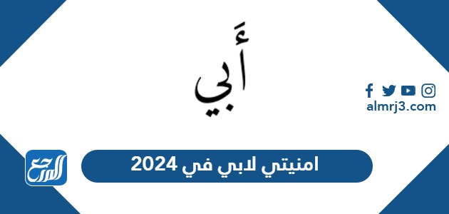 امنيتي لابي في 2024