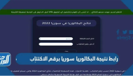 رابط نتيجة البكالوريا 2025 سوريا برقم الاكتتاب