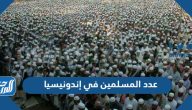 عدد المسلمين في إندونيسيا 2025