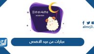 عبارات عن عيد الاضحى 2025 ، كلمات تهنئة عيد الأضحى للأحبة والأهل والأصدقاء