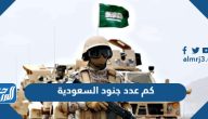 كم عدد جنود السعودية 2025 وما ترتيبه بين جيوش العالم