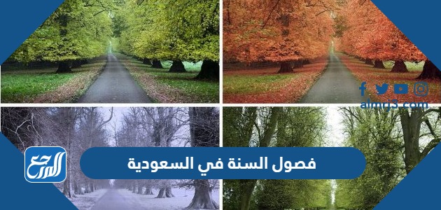 فصول السنة في السعودية