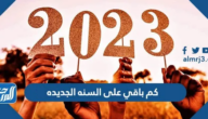 كم باقي على السنه الجديده 2025 العد التنازلي